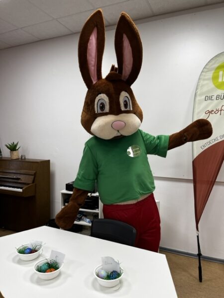 Hase 3